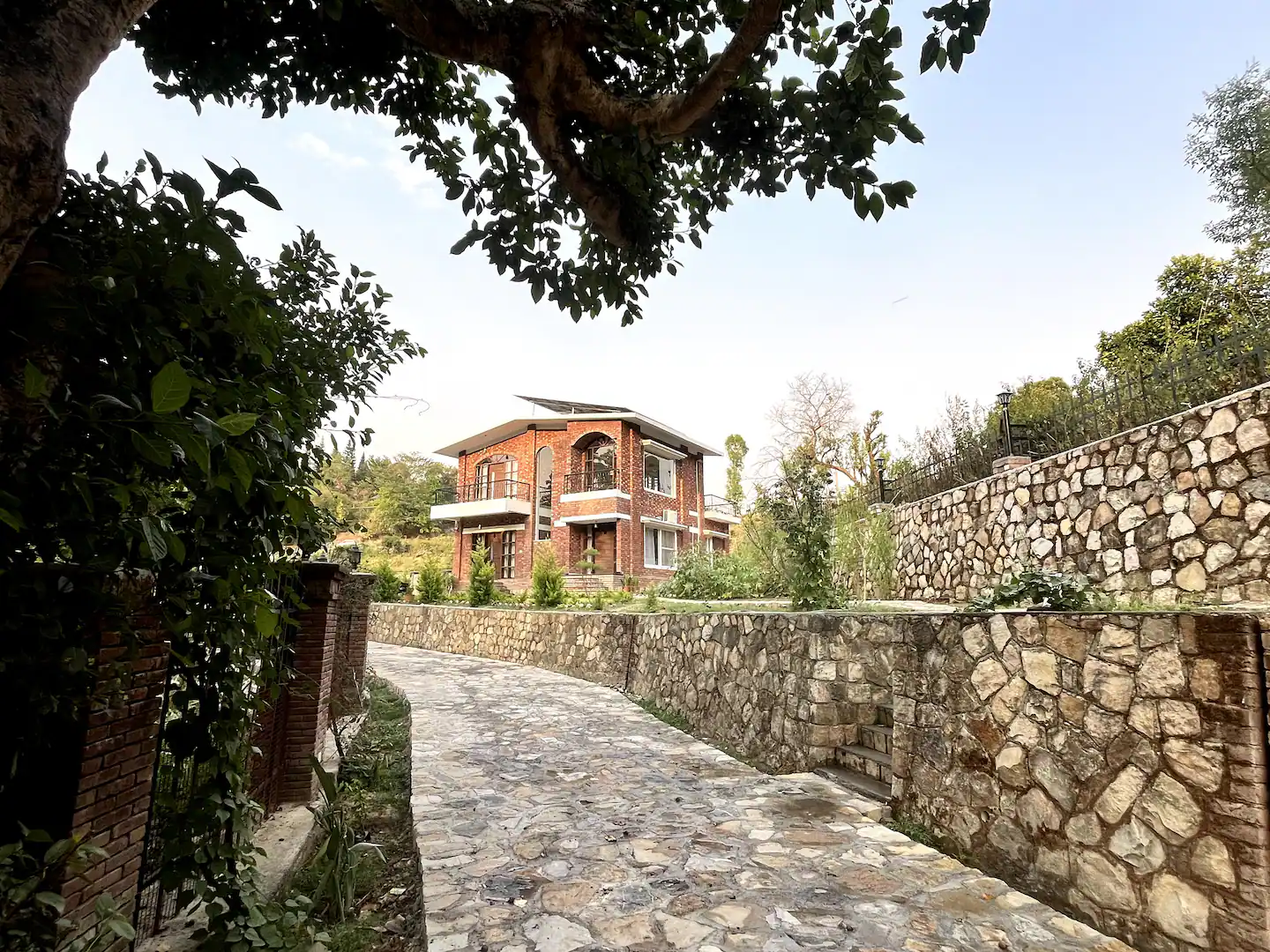 Panoramic view of the forest and grounds at The Abode Living